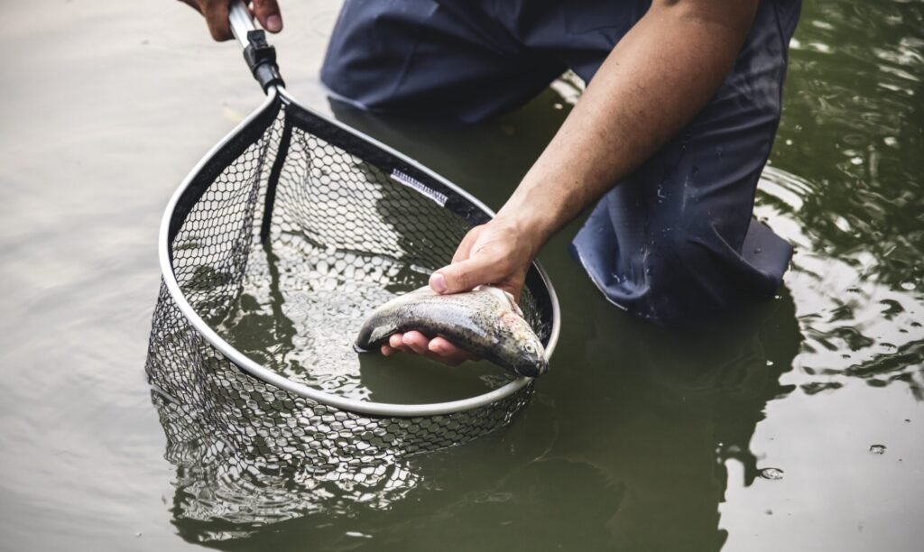 river fishing techniques