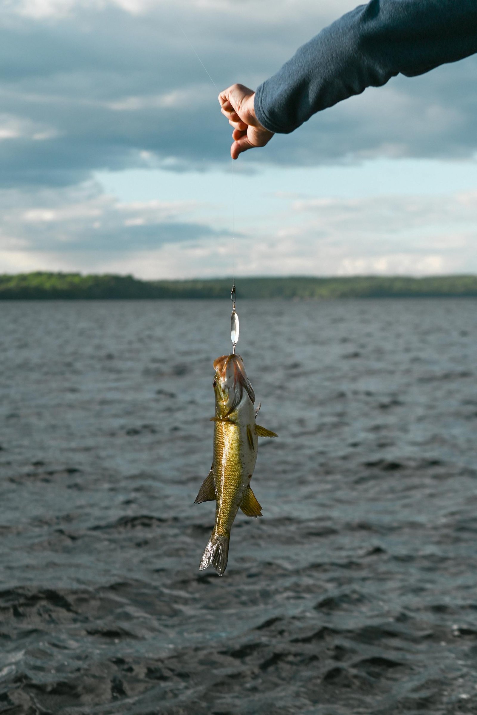 Suspended fish caught during a bright day, illustrating a scenic fishing adventure.